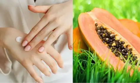 Is Papain Safe for Skin Exfoliation? Dermatology Insights